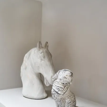 Old Town Luxury Velvet Rhodes City