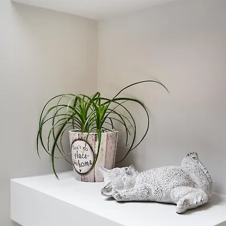 Old Town Luxury Velvet * Rhodes City