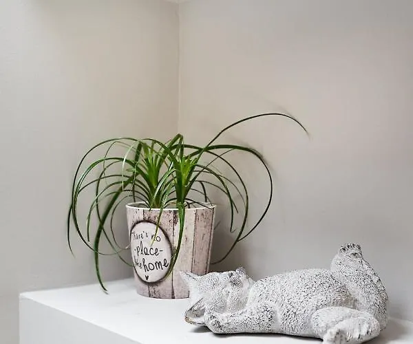 Old Town Luxury Velvet * Rhodes City